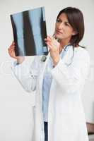 Doctor holding up x-ray and examining