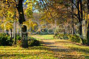 Autumn in Park