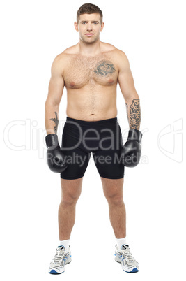 Full length picture of young muscular boxer