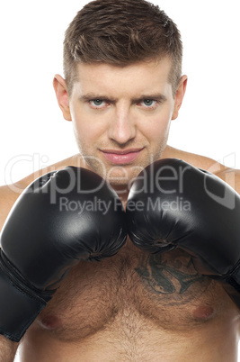 Close up picture of young caucasian boxer