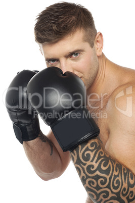 Portrait of caucasian male boxer ready to punch