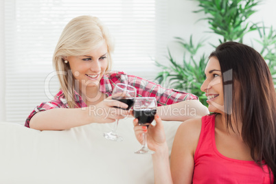 Women drinking wine at home