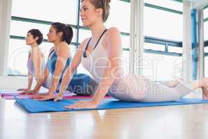 Women doing cobra pose in yoga class