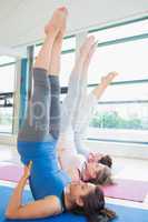 Women stretching backs at yoga class