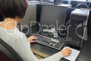 Woman using the computer