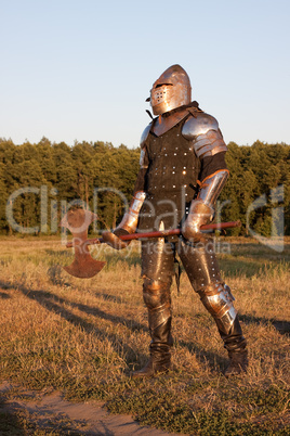 Medieval knight