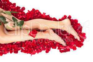 Woman against petals of red roses