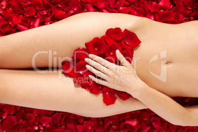 Beautiful body of woman against petals of red roses