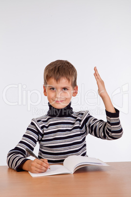 Cheerful Schoolboy ready to answer question