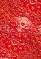 Detailed surface of strawberry