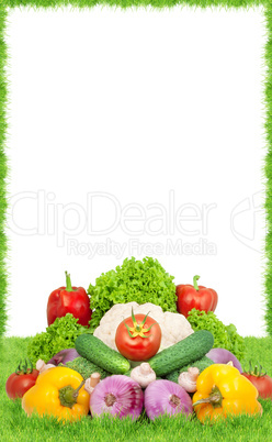 Assorted fresh vegetables