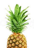 Ripe pineapple