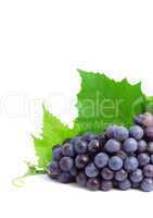 Grape