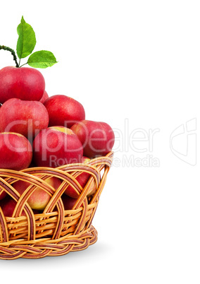 Basket of apples