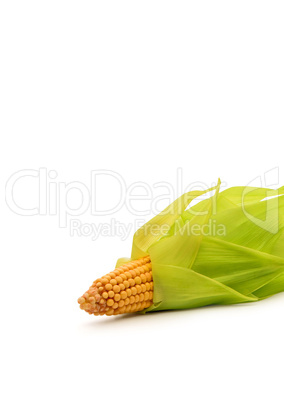 Corns