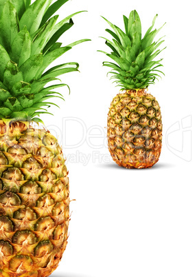 Ripe pineapple