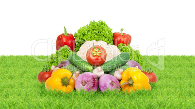 Assorted fresh vegetables