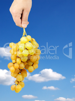 Bunch of fresh green grapes