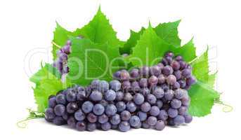 Bunch of fresh grapes