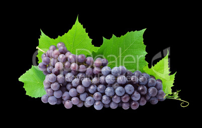 Grape