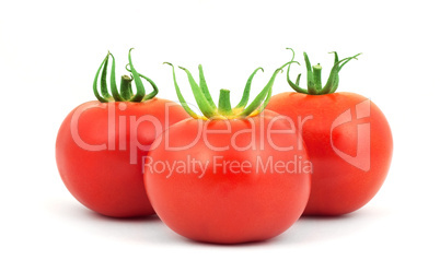 Tomatos