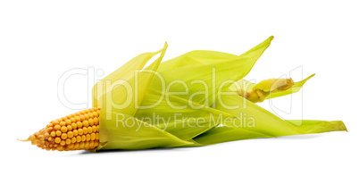 Corn