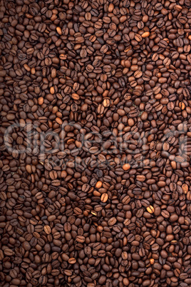 Background of coffee bean.