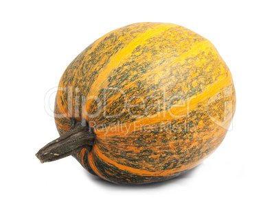 Pumpkin