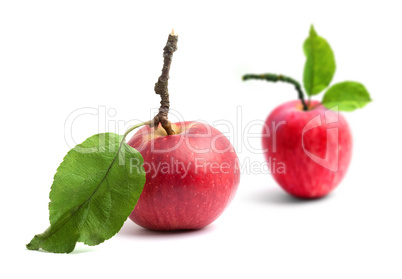 Apples