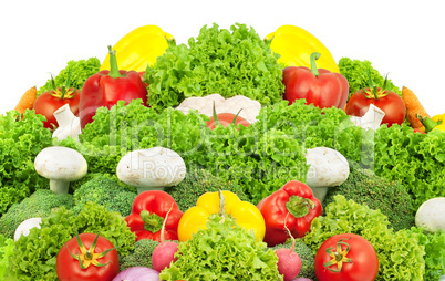 Assorted fresh vegetables