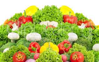 Assorted fresh vegetables