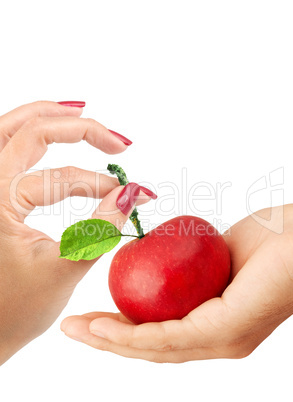 Girl gives the man an apple