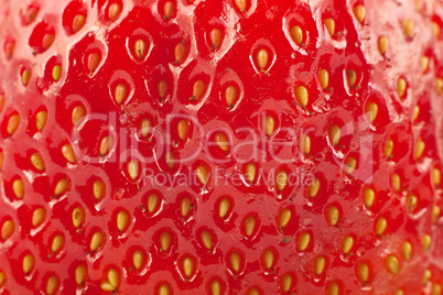 Detailed surface of strawberry
