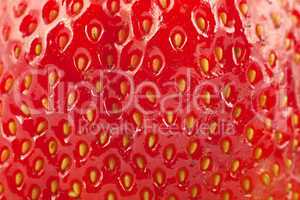 Detailed surface of strawberry