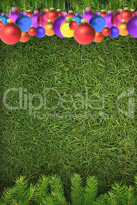 Christmas spruce  texture