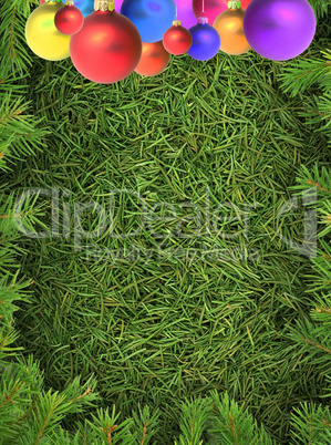 Christmas spruce  texture