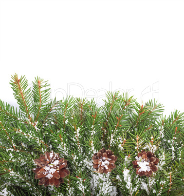 Christmas framework with snow and cones