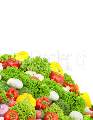 Assorted fresh vegetables