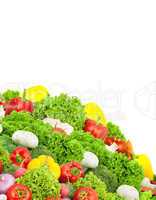 Assorted fresh vegetables