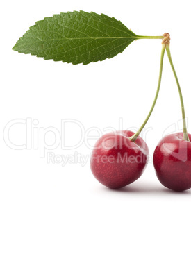 Red cherries