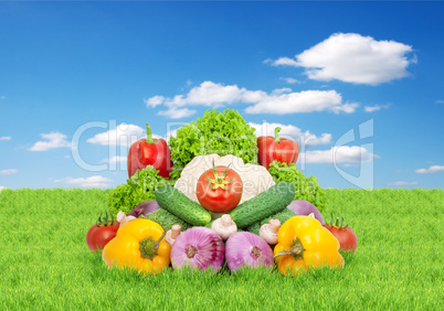 Assorted fresh vegetables