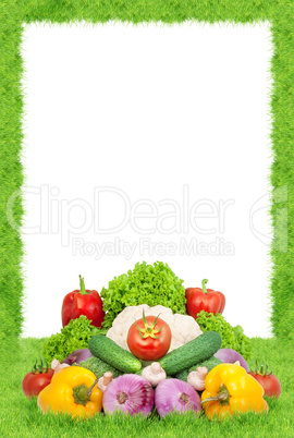 Assorted fresh vegetables