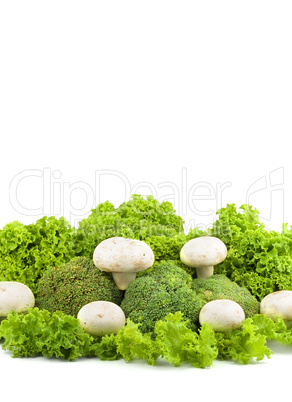 Champignon on a lettuce