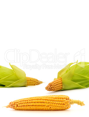 Corn