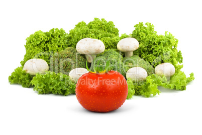 Champignon on a lettuce