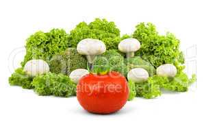 Champignon on a lettuce