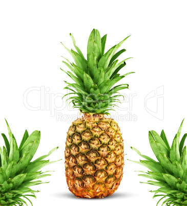 Ripe pineapple