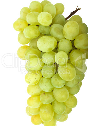 Grape