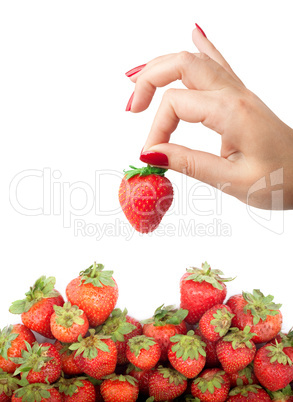 Strawberry in the hand