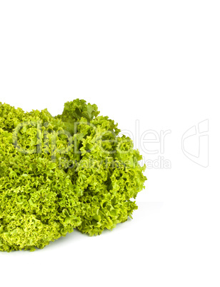 Lettuce